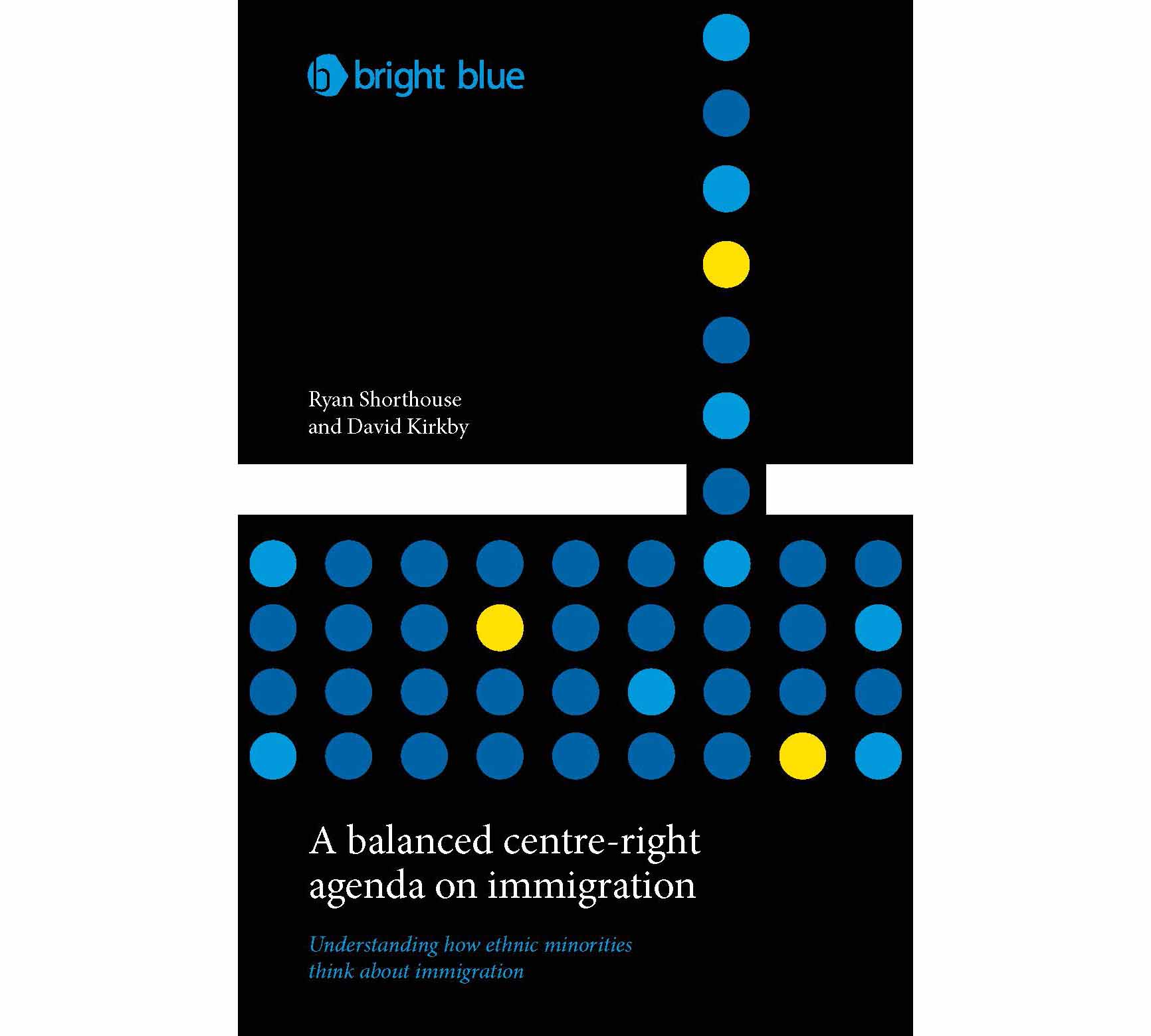 Bright Blue report looks at whether ethnic minorities are more positive about migration - image