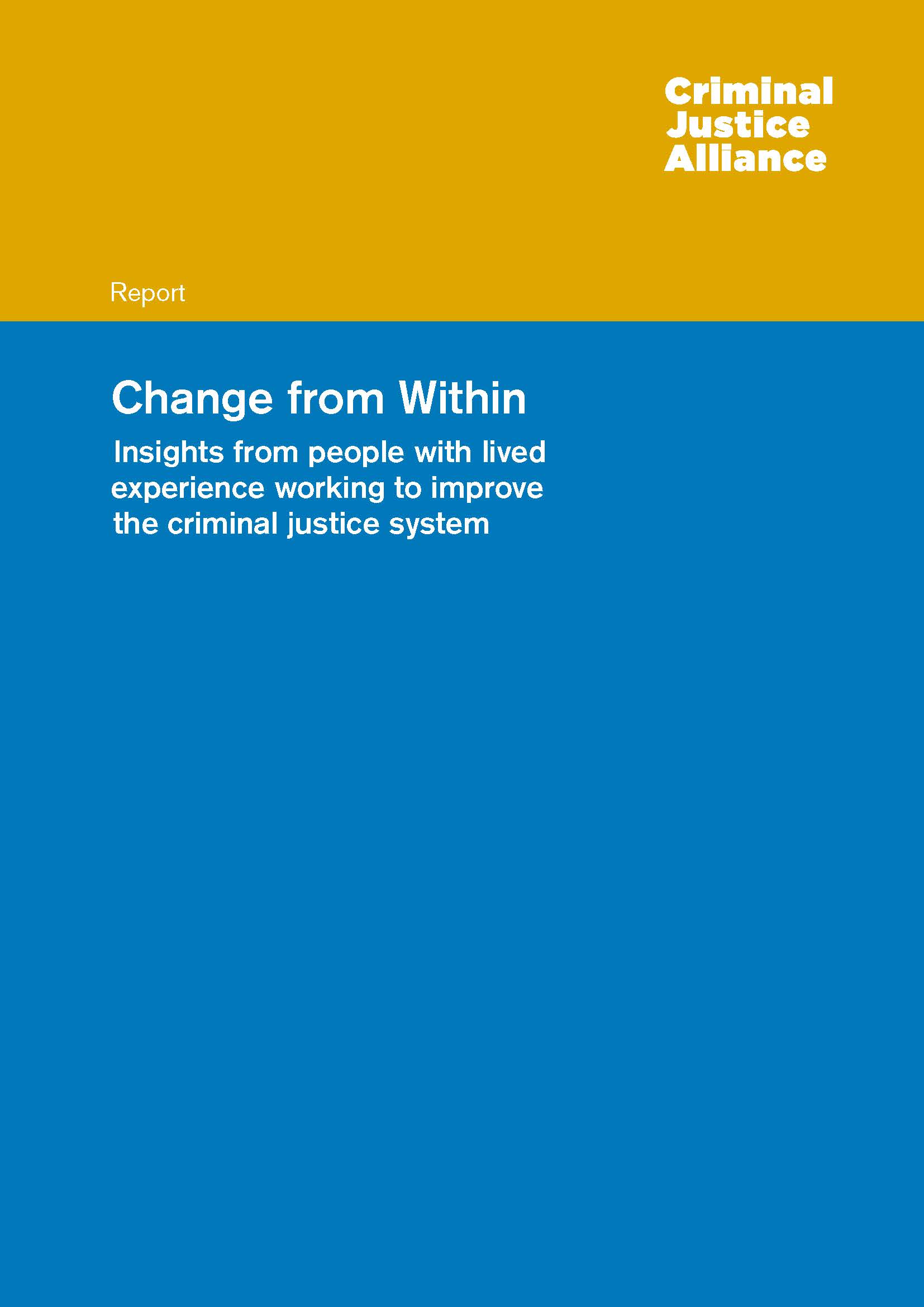 Change from within: Insights from people with lived experience working to improve the criminal justice system - image