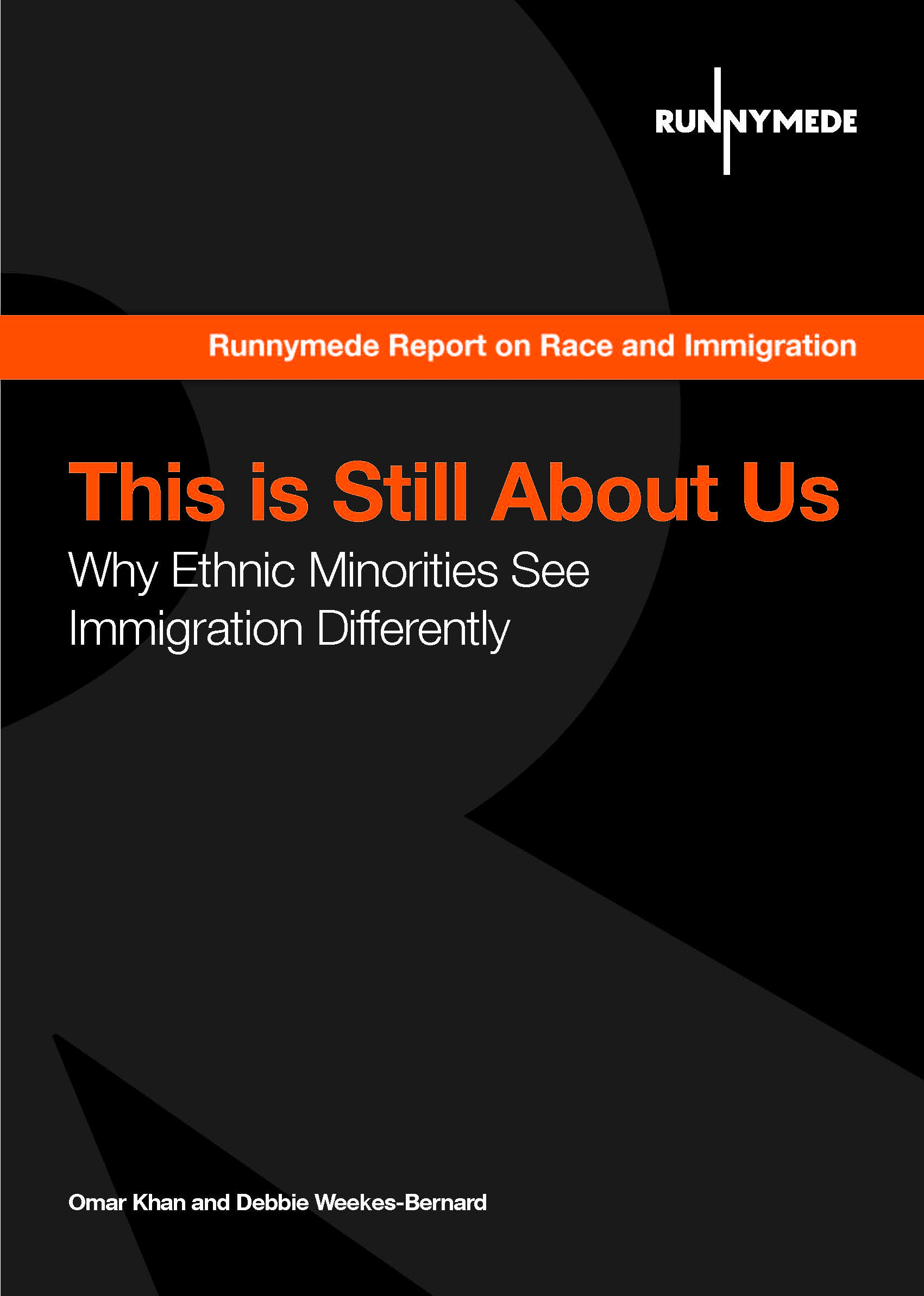 Why ethnic minorities see immigration differently - image