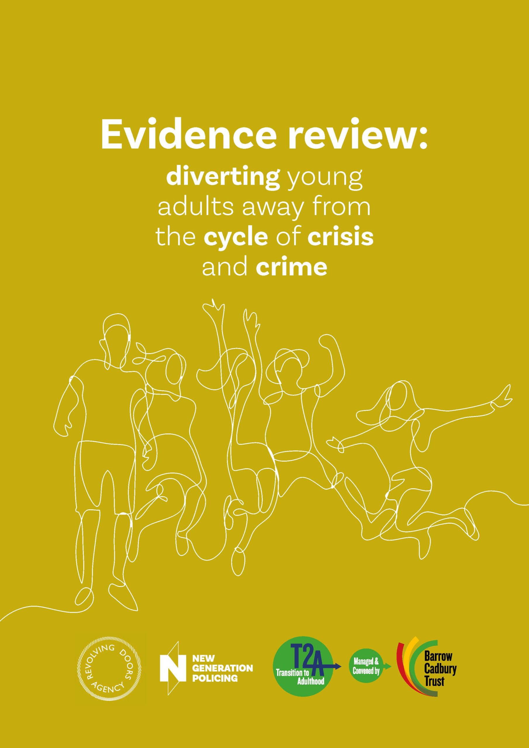 Diverting young adults from the cycle of crisis and crime: RDA evidence review - image