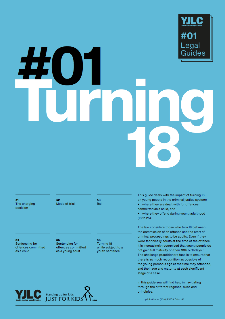 Turning 18: Legal Guide - image