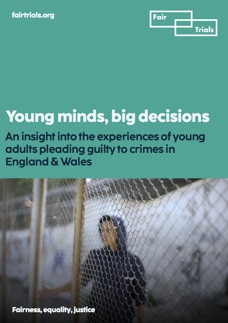 Young minds, big decisions: An insight into the experiences of young adults pleading guilty to crimes in England & Wales - image