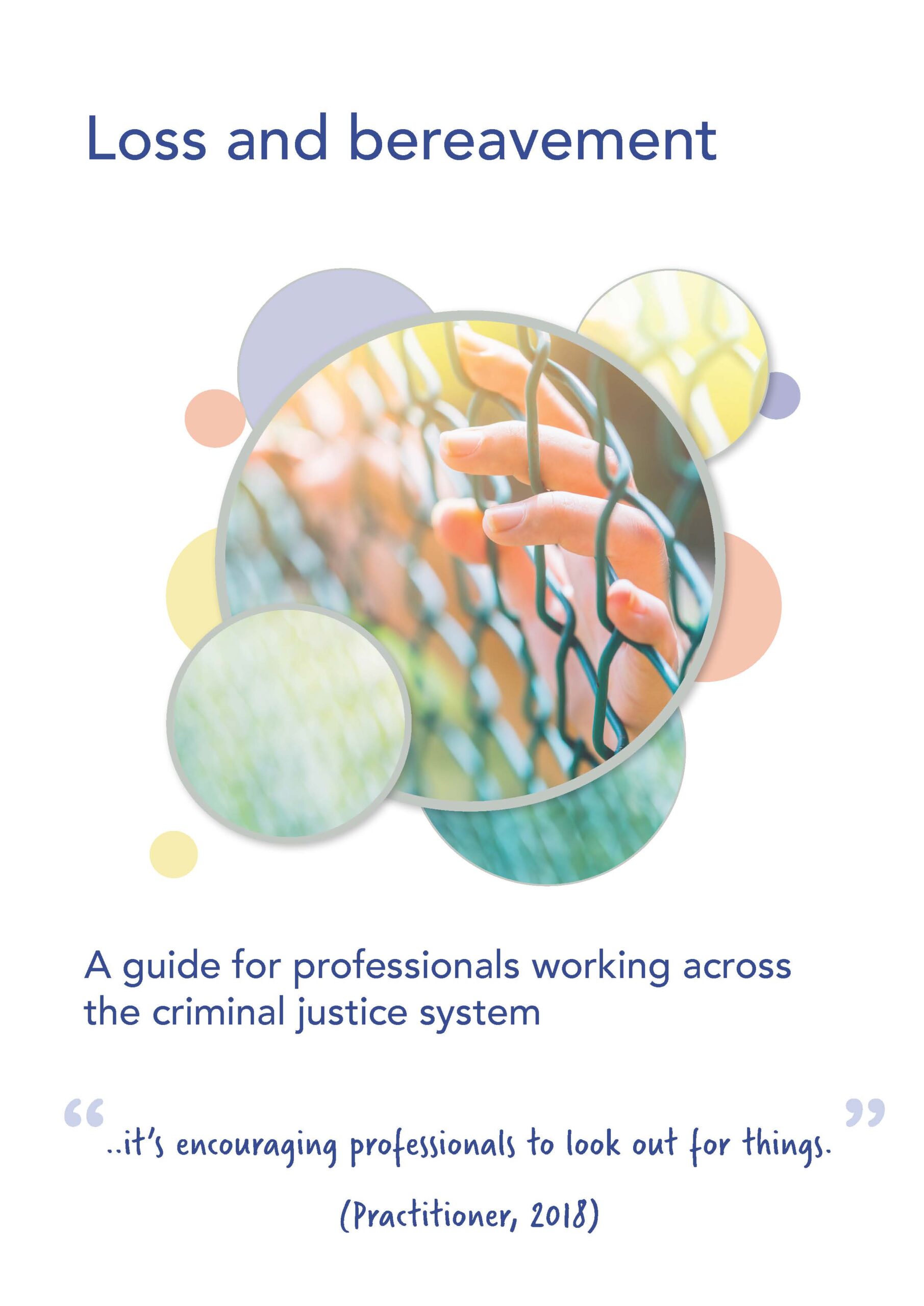 Loss and bereavement: A guide for professionals working in the criminal justice system - image