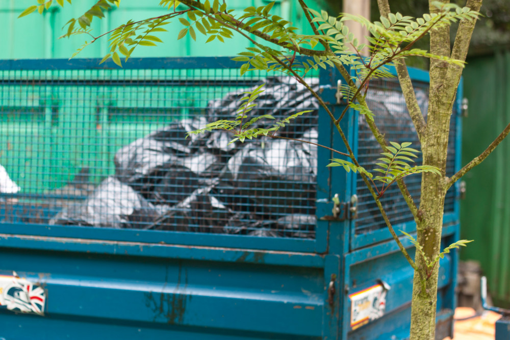 Cleaning up the Wren’s Nest - image